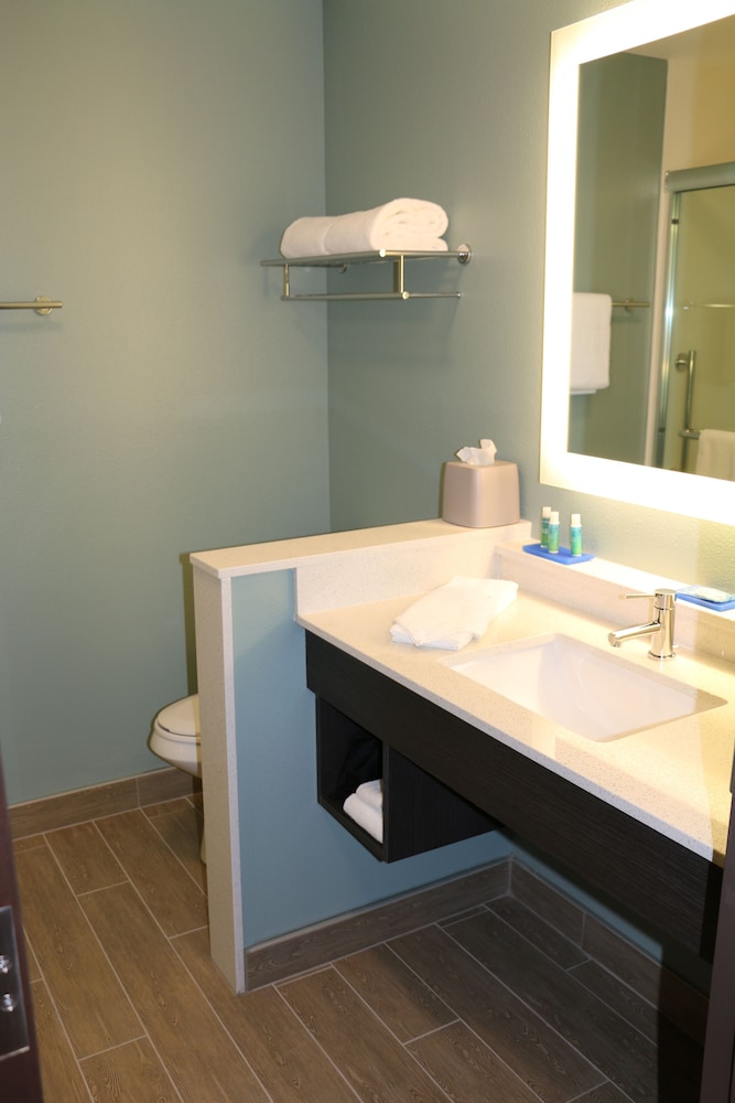HOLIDAY INN EXPRESS & SUITES HENDERSONVILLE SE - FLAT ROCK 20/52