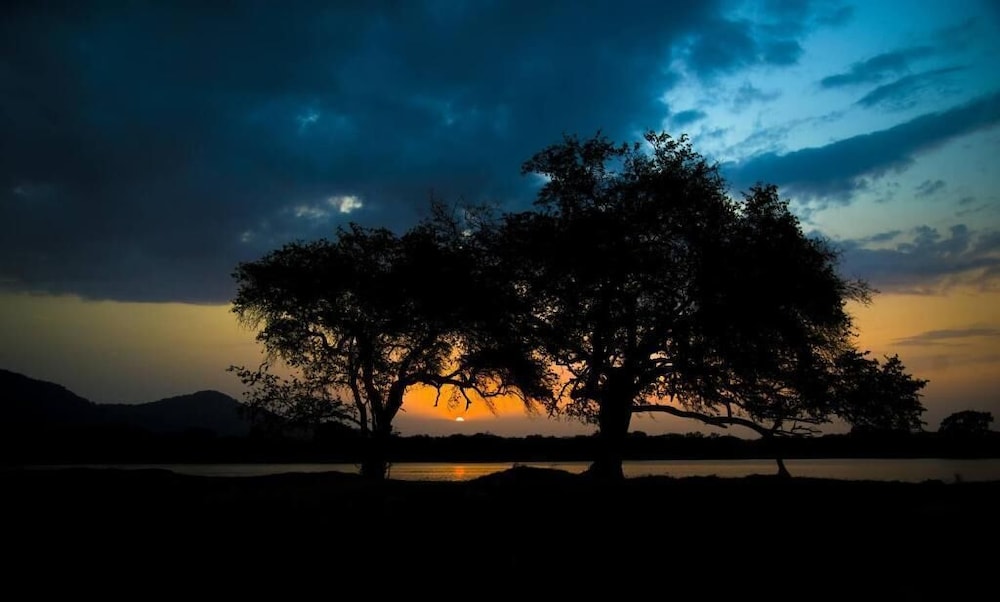 Wadula Safari Yala 26/33