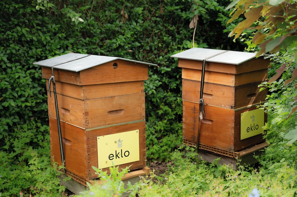Eklo Hotels Lille 4/62