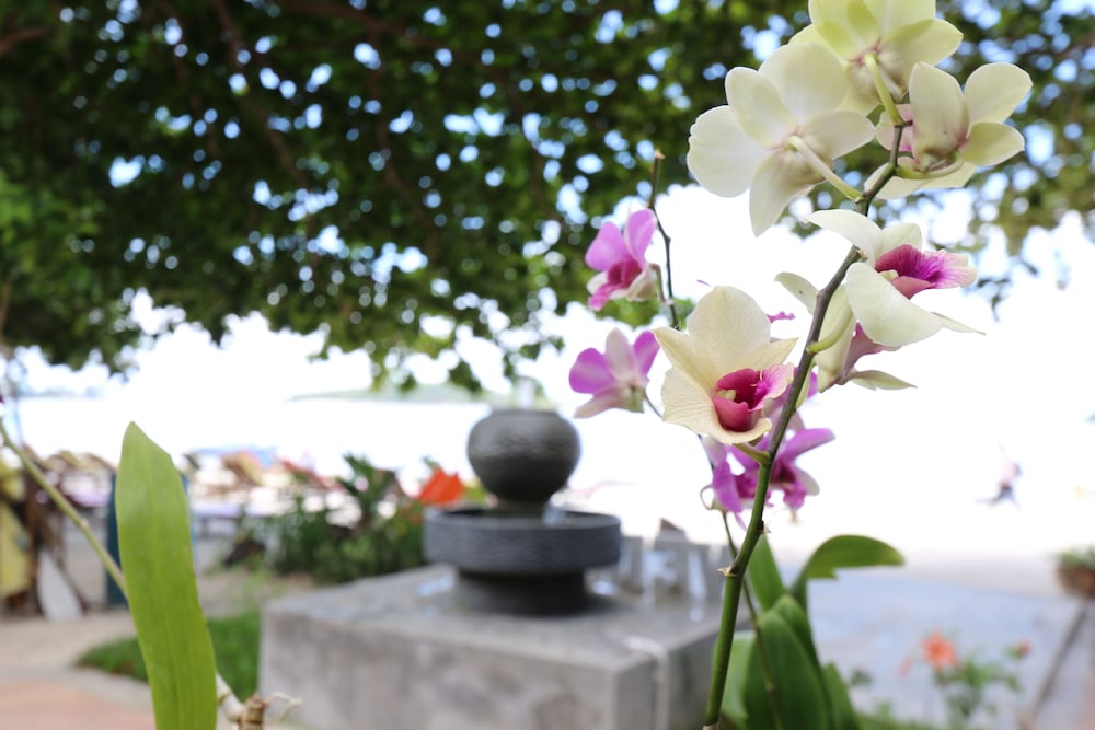 Marine Chaweng Beach Resort 50/53