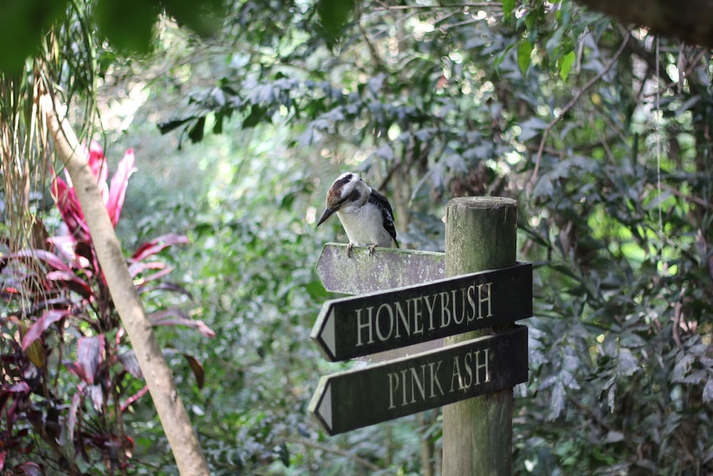 The Falls Rainforest Cottages 3/30