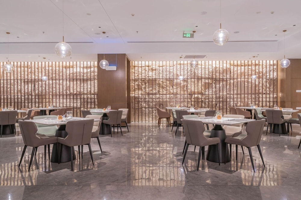 Radisson Hotel Beijing Daxing Airport 49/60