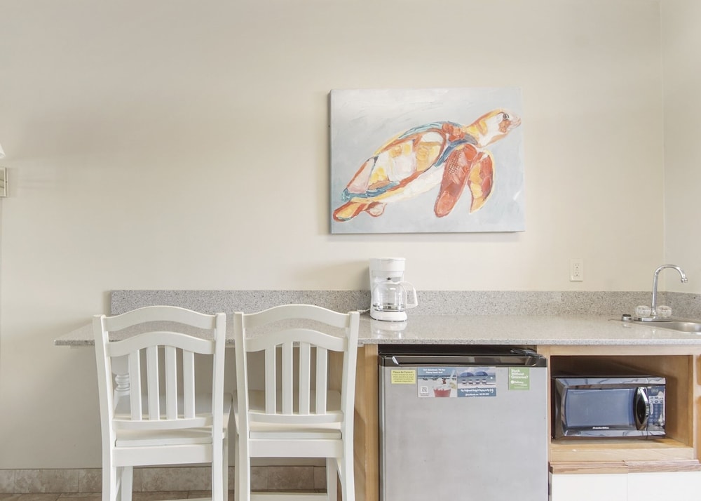 The Driftwood Lodge 7/41