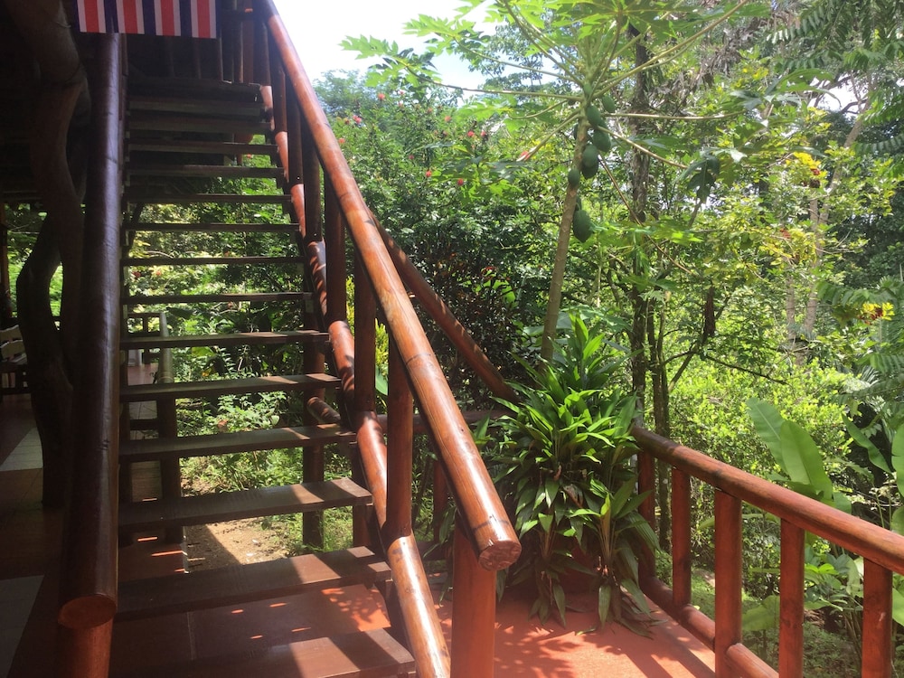Hotel Samsara 39/44