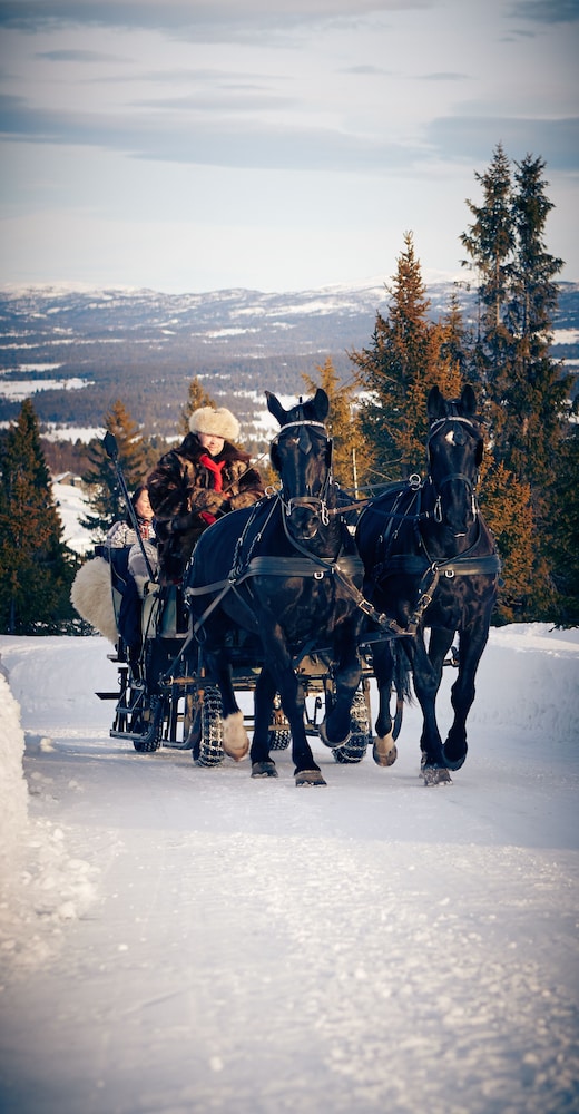 STOREFJELL RESORT HOTEL 44/50