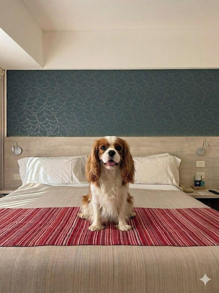 Regente Palace Hotel 22/48