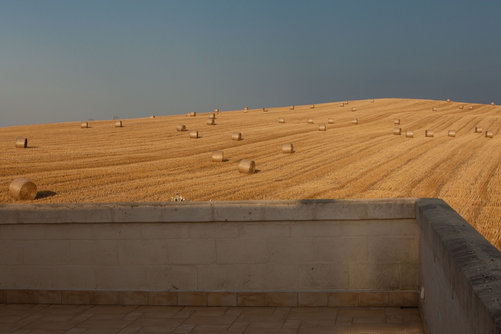 Tenuta Danesi 25/40