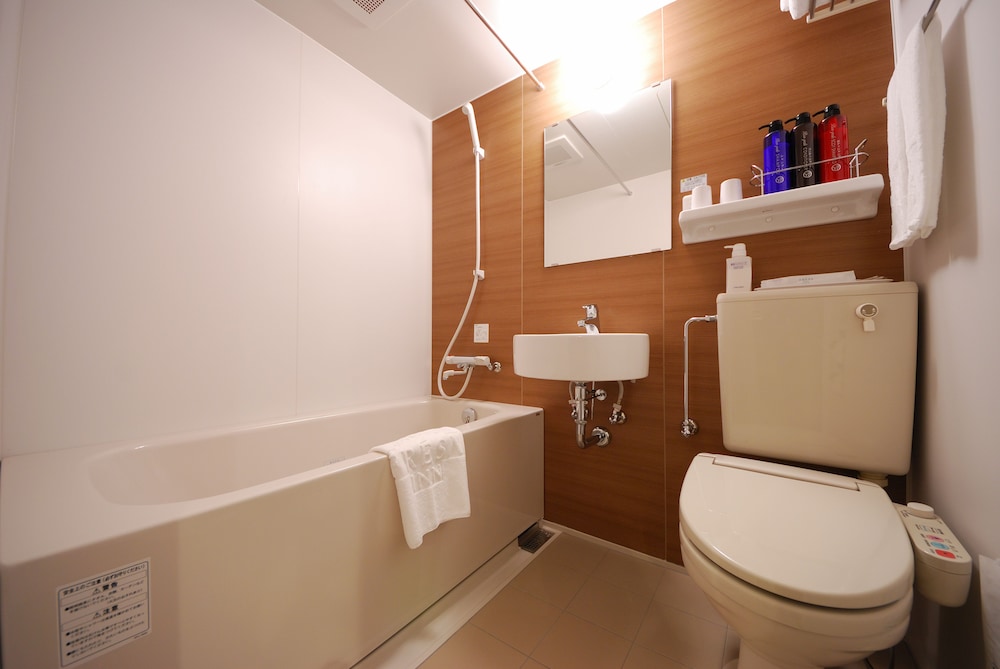 Sotetsu Fresa Inn Tokyo Kyobashi 47/50