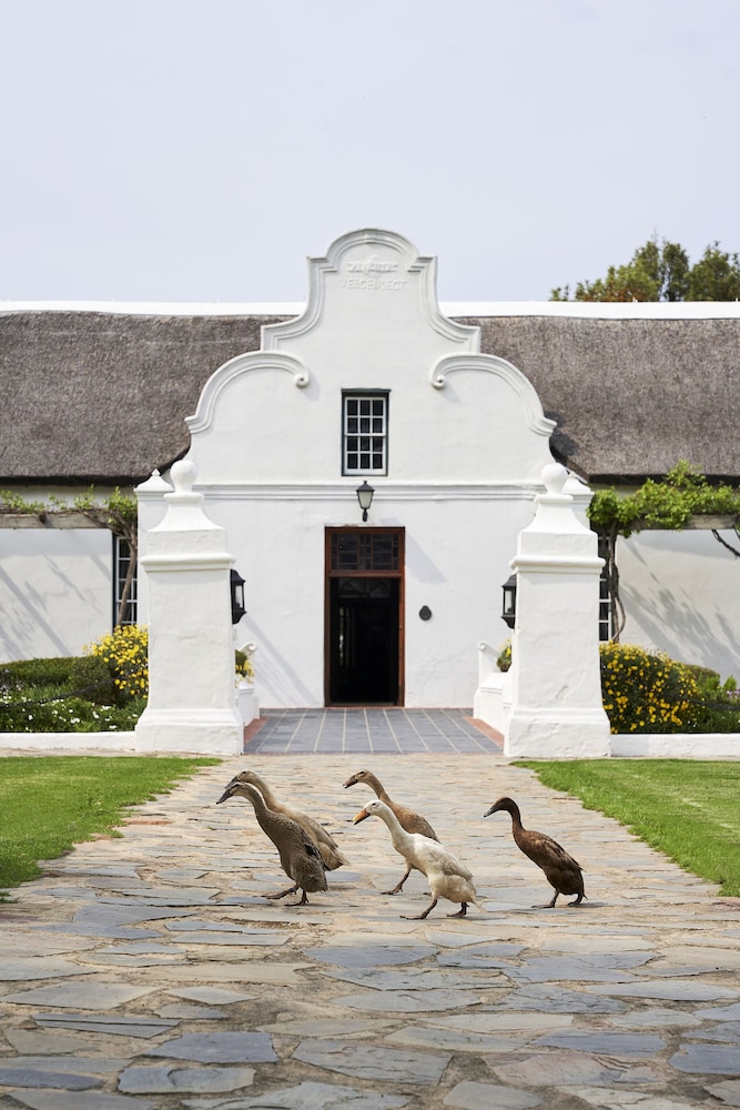 Vergenoegd Low Boutique Hotel & Spa 42/50
