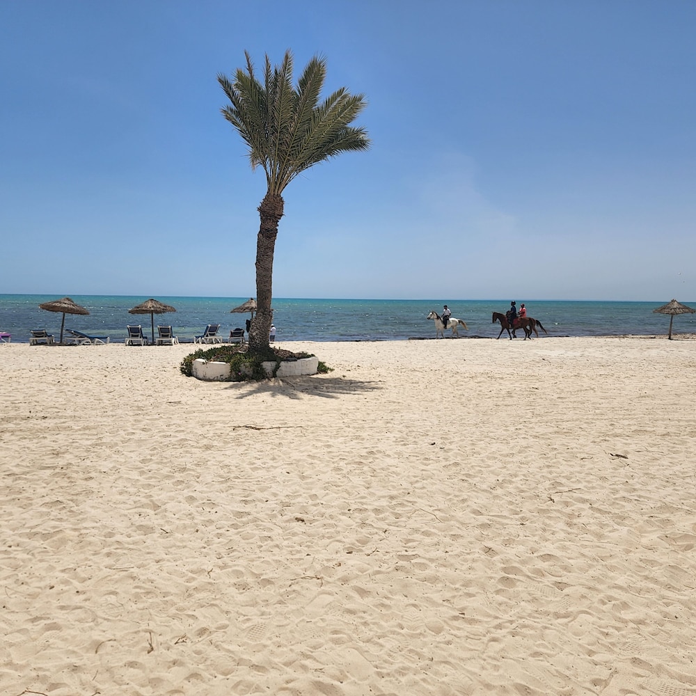 Golf Beach Hotel Djerba 32/55
