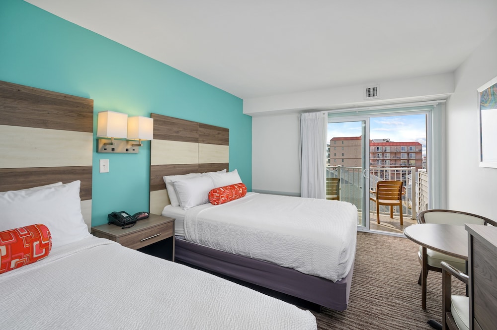 Royalton Hotel 14/50