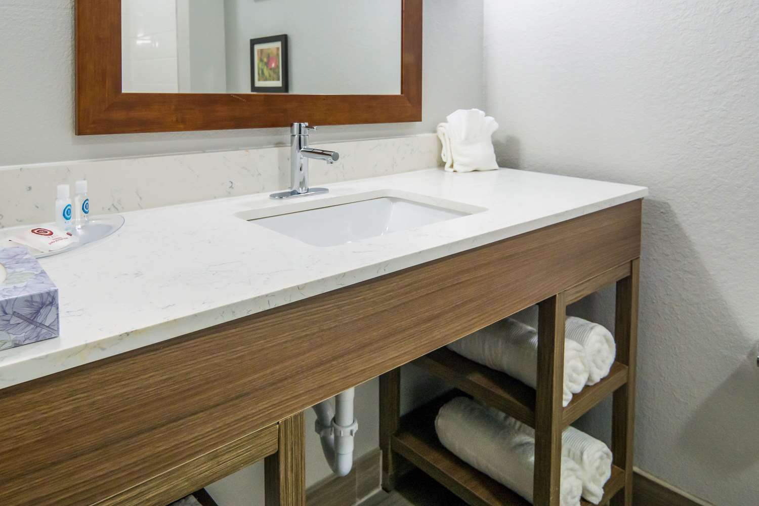 جناح بسريرين كوين، Comfort Suites DeSoto Dallas South 3/3