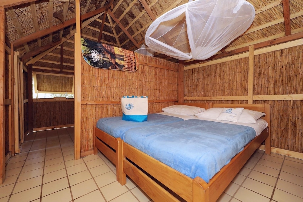 Pine Beach Pakostane 14/50