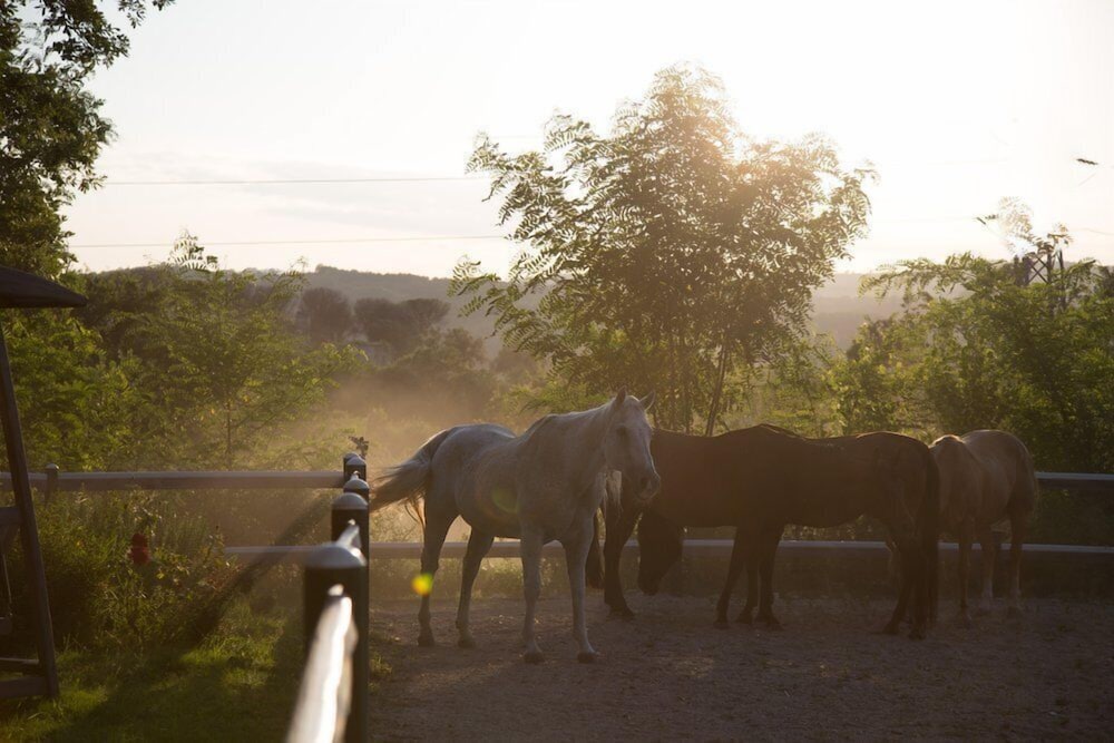 La Pampa Relais Spa 57/69