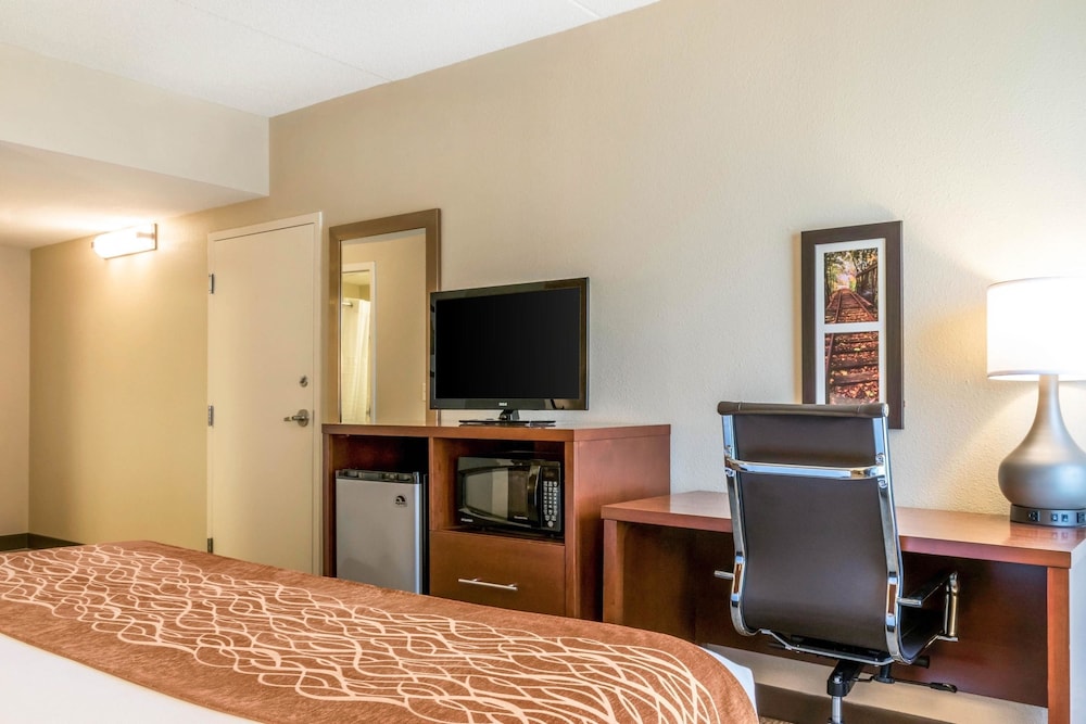 Comfort Inn Chambersburg North 13/62