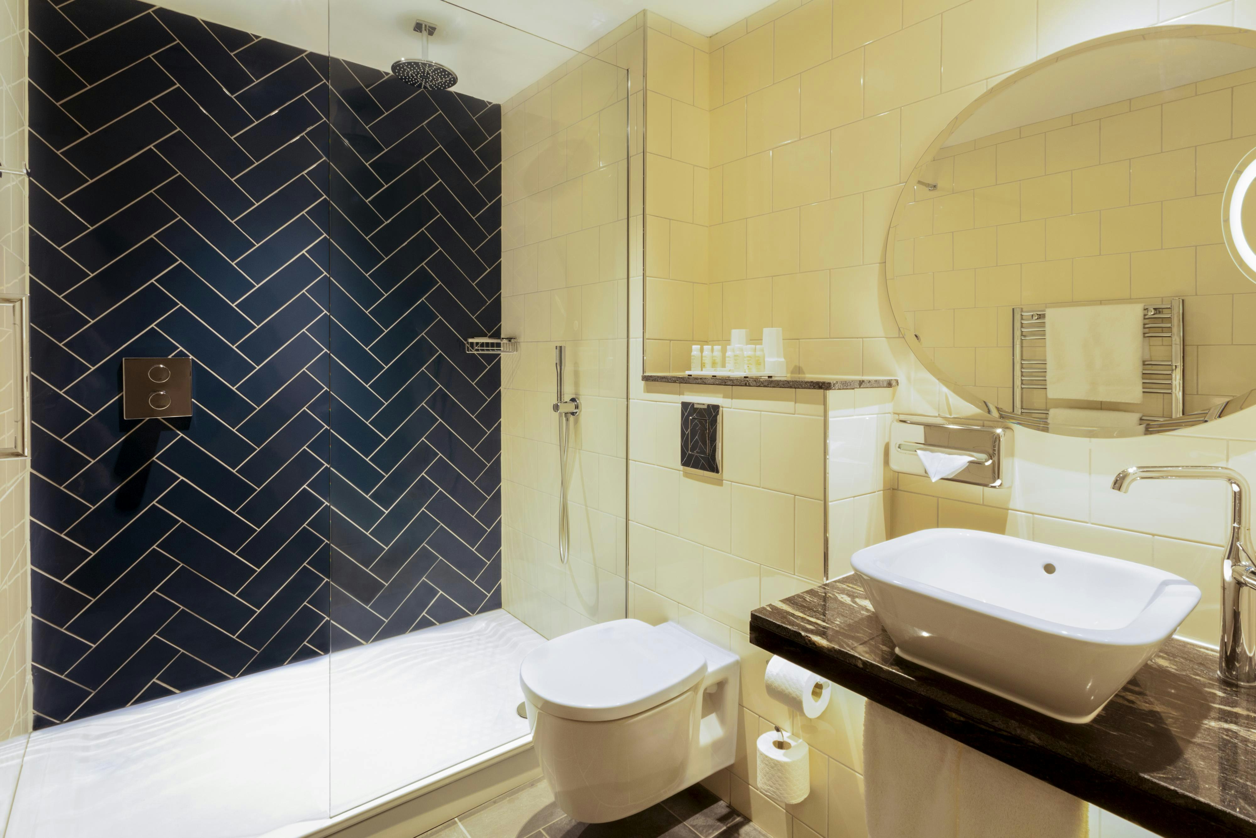 Hotel Indigo Edinburgh - Princes Street, an IHG Hotel (ex Royal British) 82/82