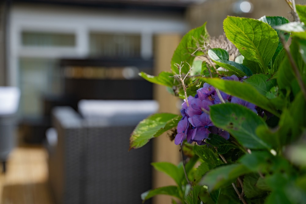 The Briers Country House 26/50