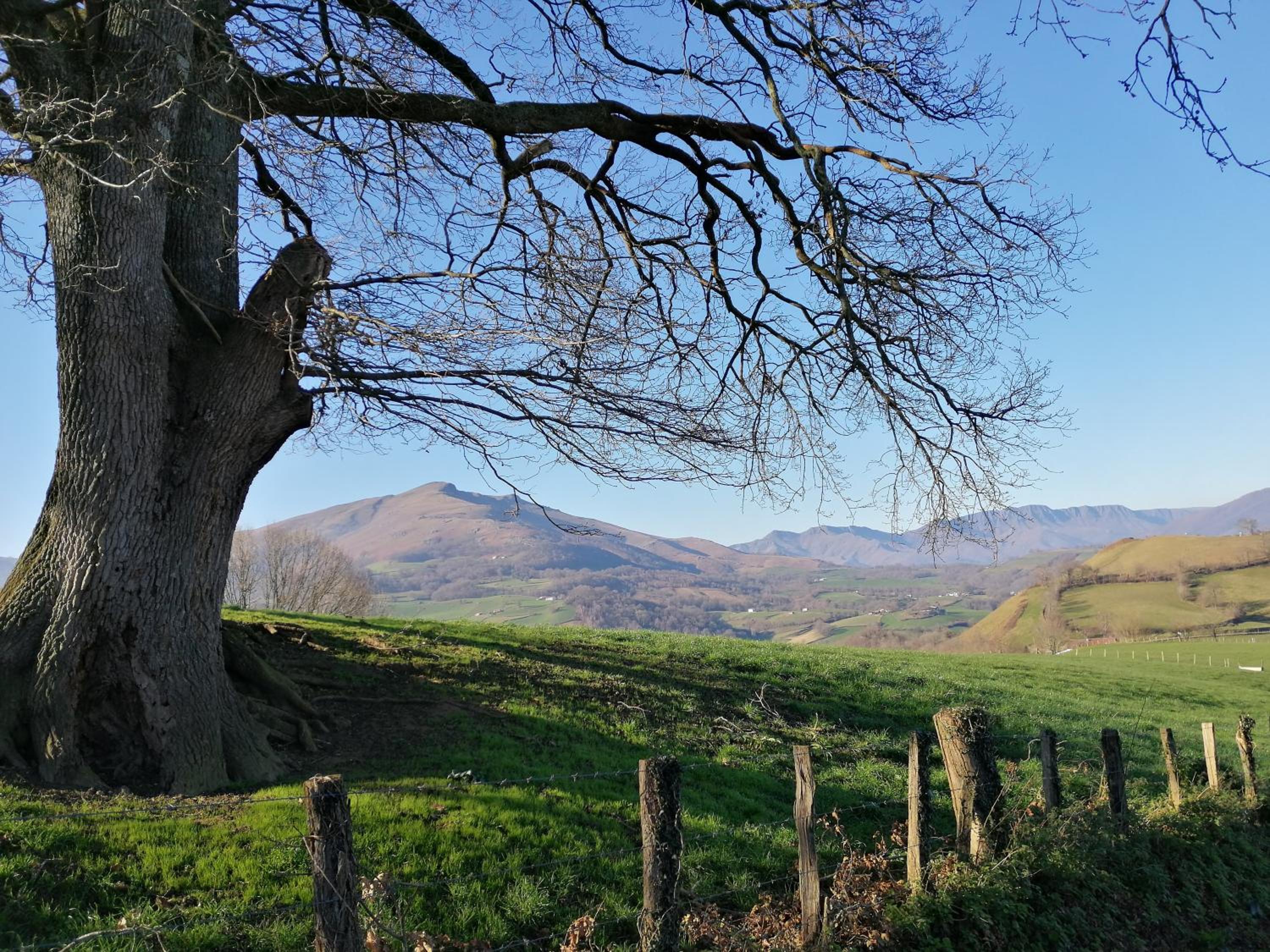 surroundings