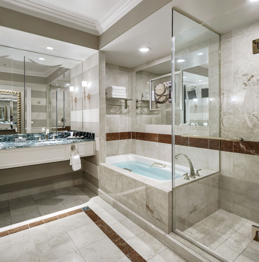 The Venetian Resort Las Vegas 46/72