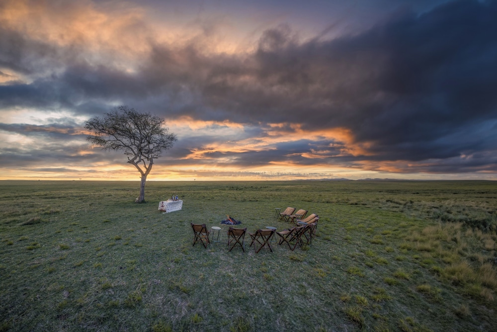 Elephant Pepper Camp 44/48