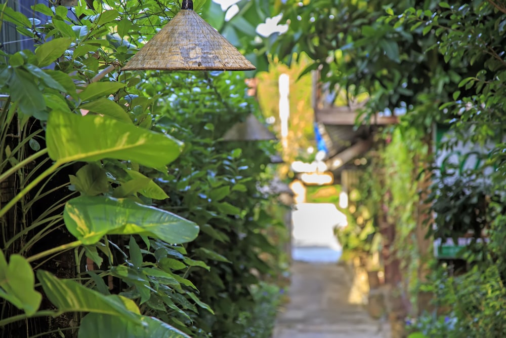 Cosy Bungalow Phu Quoc 20/24