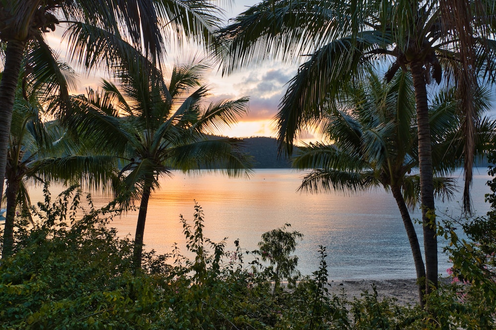 Palm Bay Resort (Adults Only 16+) 85/93