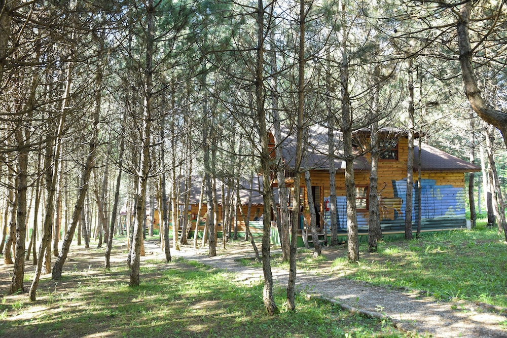 Campinari Doga Evleri & Restaurant 19/50