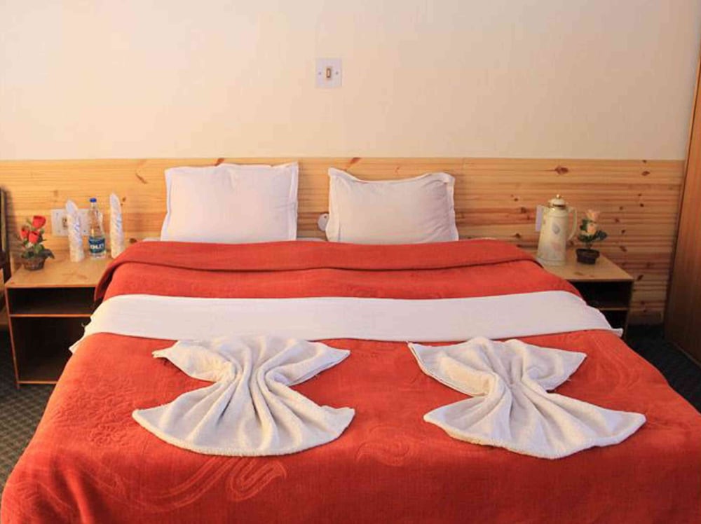 Hotel Mahay Palace 14/34