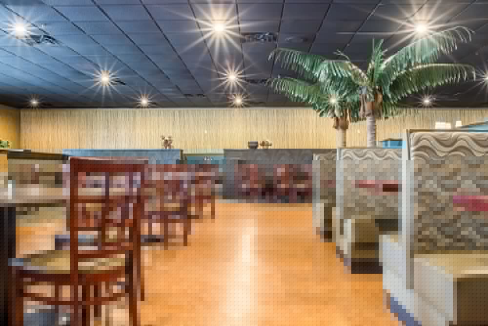 Quality Inn Suites Palm Island Indoor Waterpark 48/67