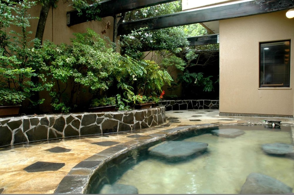 swimming pool spa