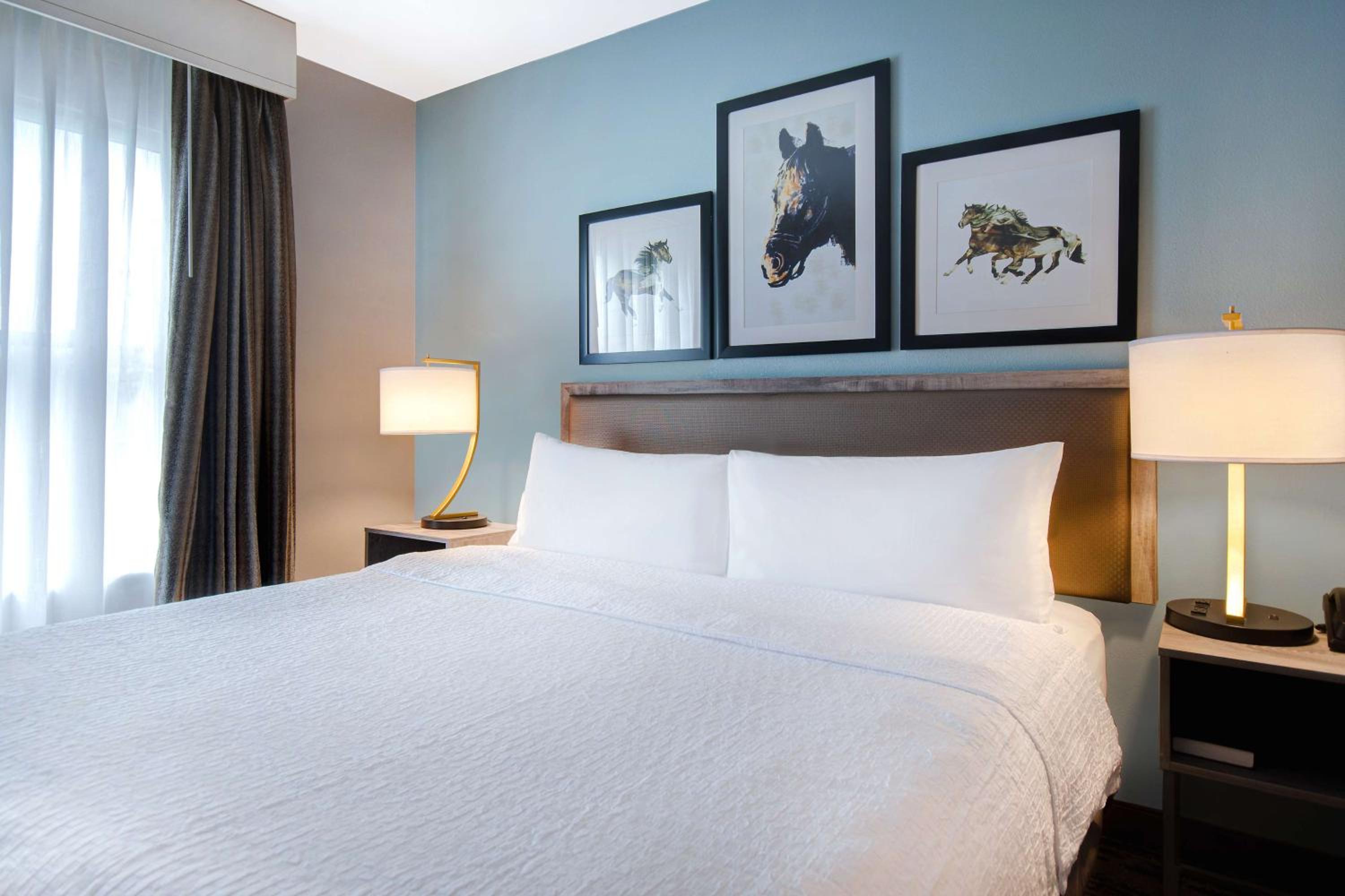 جناح بسرير كينج بغرفة نوم واحدة مع أريكة، Homewood Suites By Hilton Lexington Hamburg 2/8