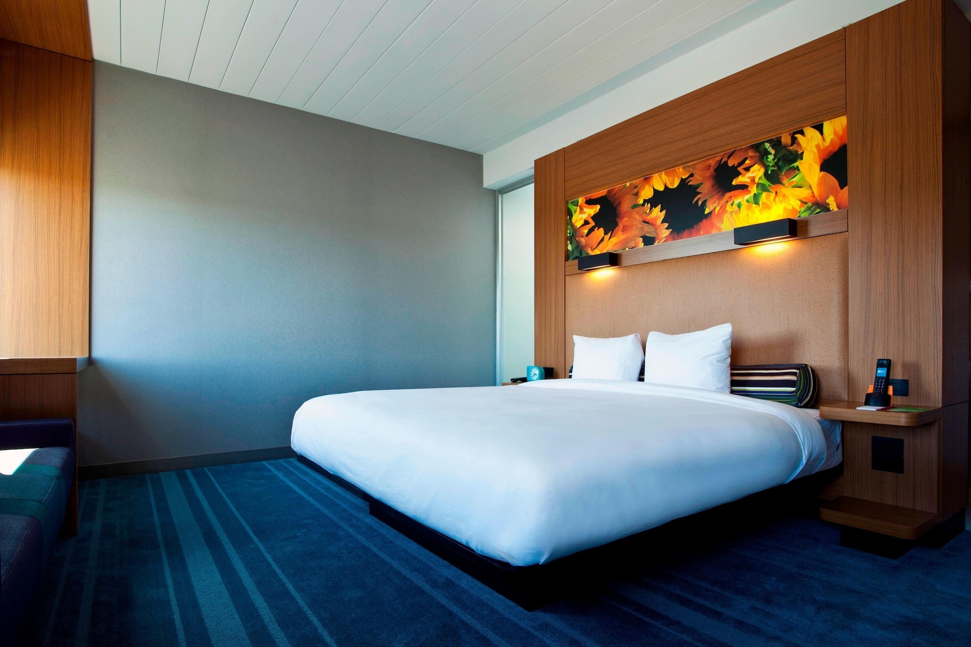 Room at Aloft Dulles Airport North, ASHBURN - VA