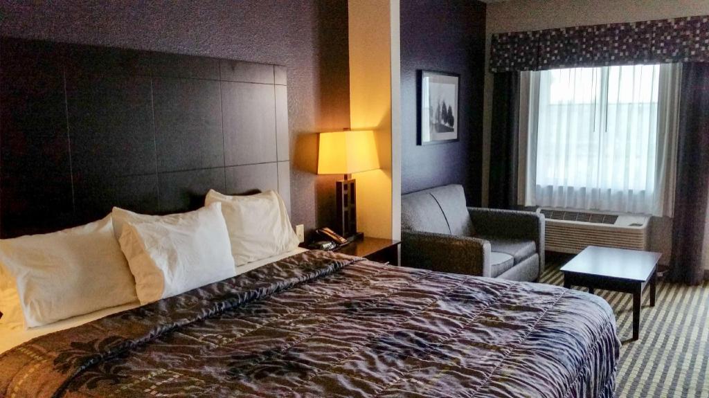 1 King Bed Non-Smoking, Micfridge, Sofa-Bed