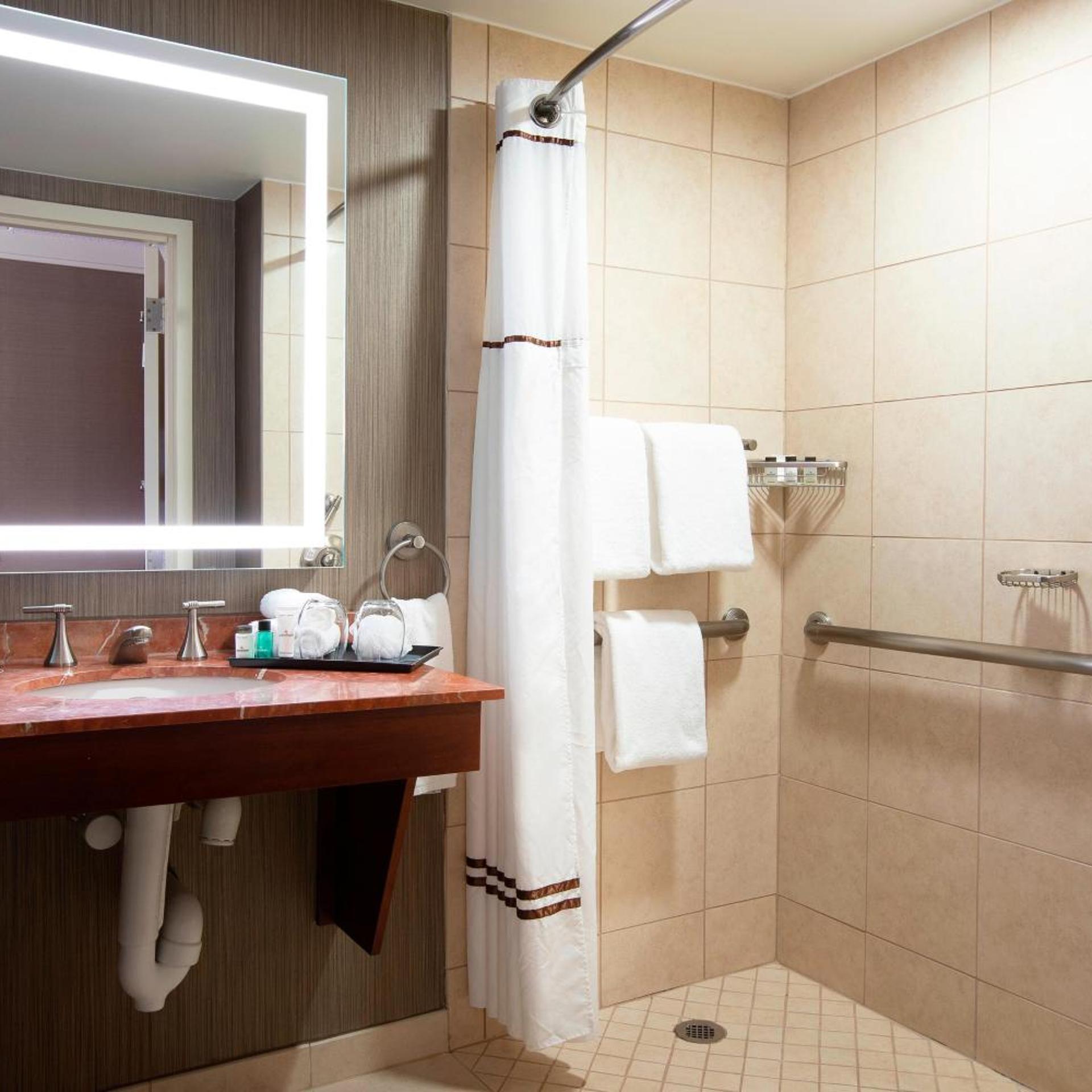 غرفة بسرير كينج، Sheraton Niagara Falls New York 9/16
