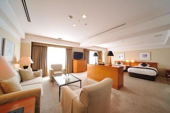Room, Airport View