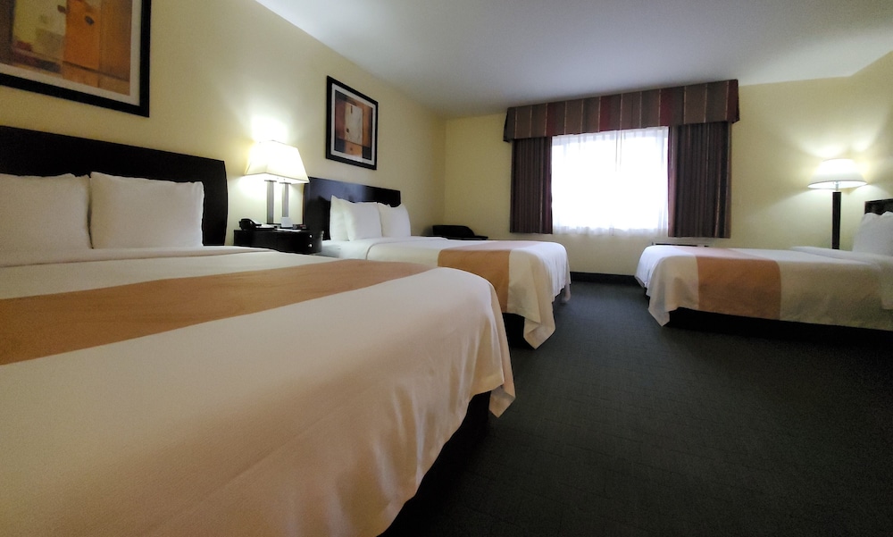 ROOM, MULTIPLE BEDS
