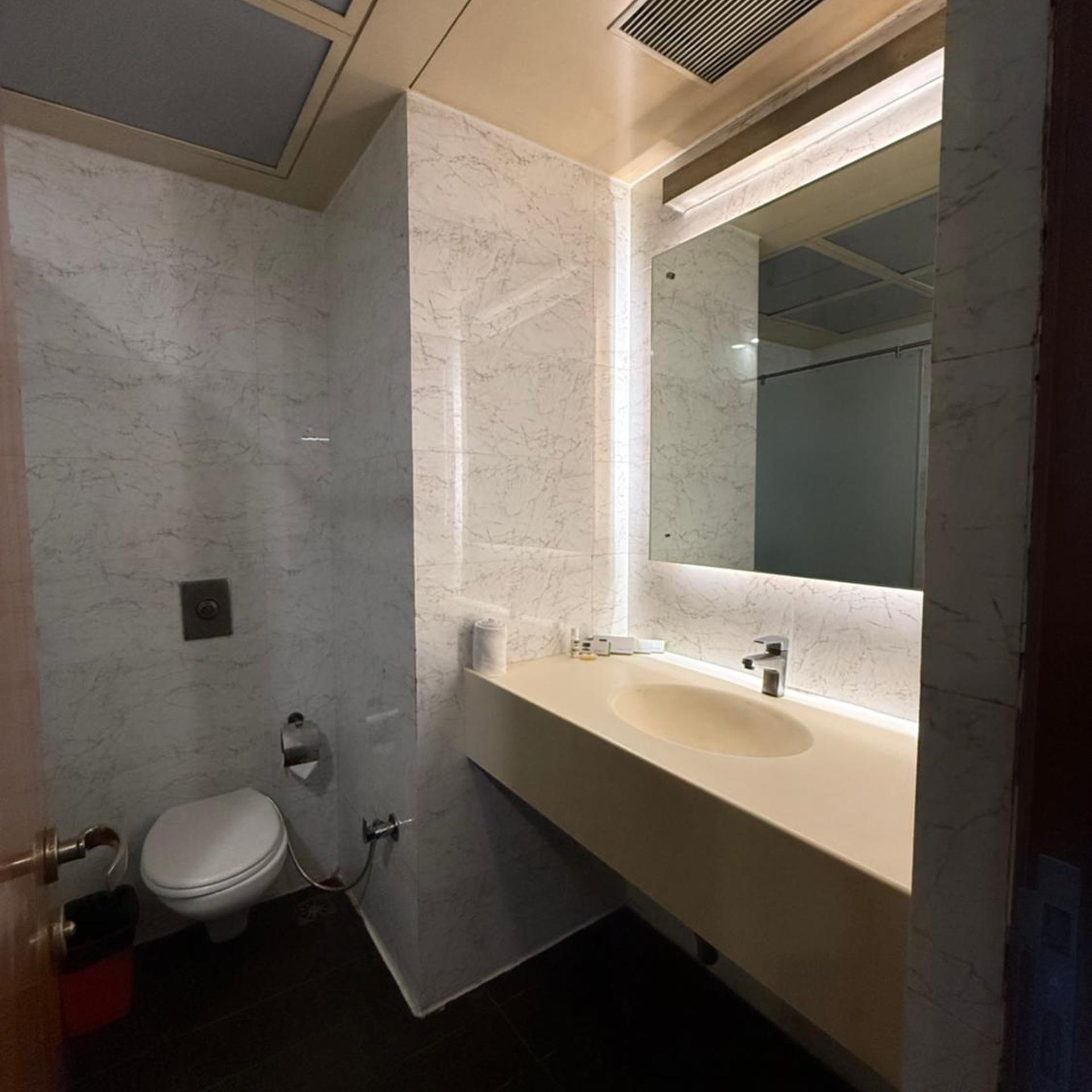 HOTEL BRIJWASI LANDS INN 50/55