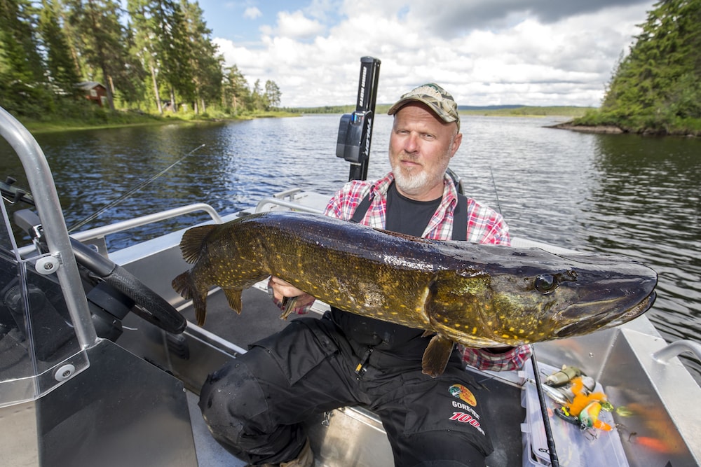 Vardshuset Lugnet 20/42