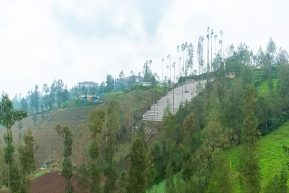 OYO 2169 Anugrah Bromo Homestay 25/52