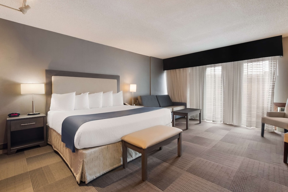 Standard, King Bed, Sofa, Kitchenette