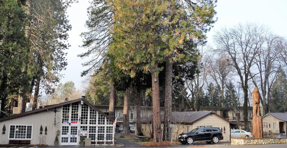 Shasta Inn 1/46