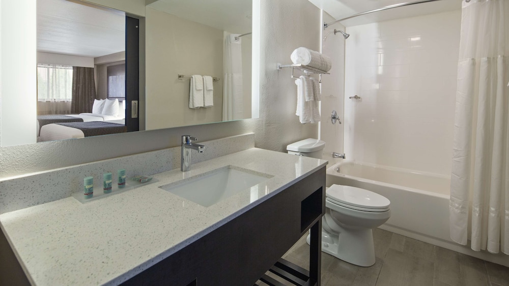 Best Western Atlanta-Marietta Ballpark Hotel 15/34