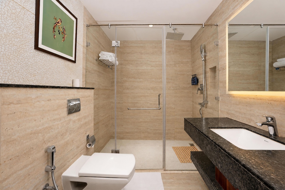 Radisson Blu Resort Visakhapatnam 47/47