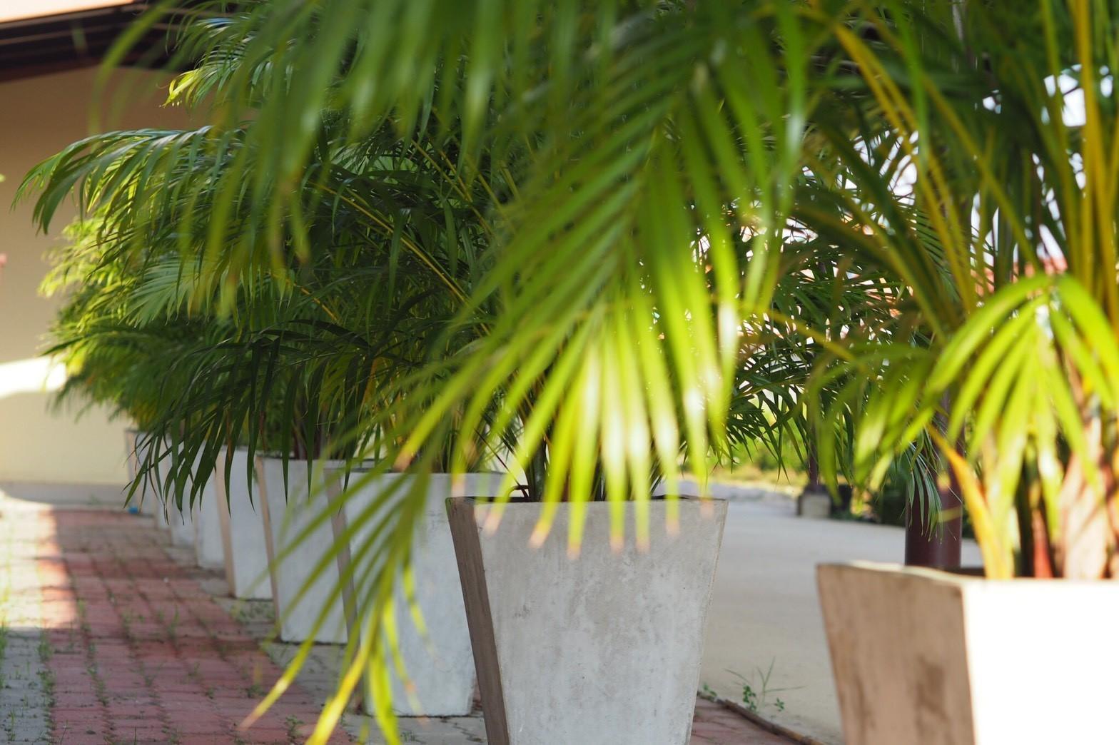 Phromsuk Hotel Ayutthaya 33/34