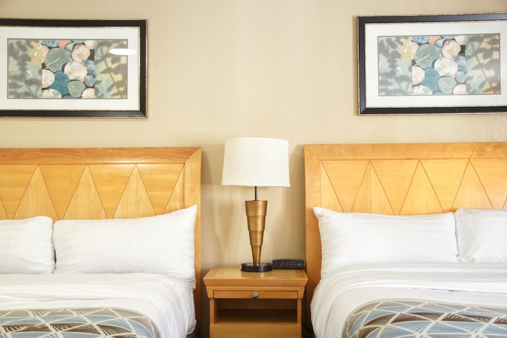 Rodeway Inn Adams, MA 24/34