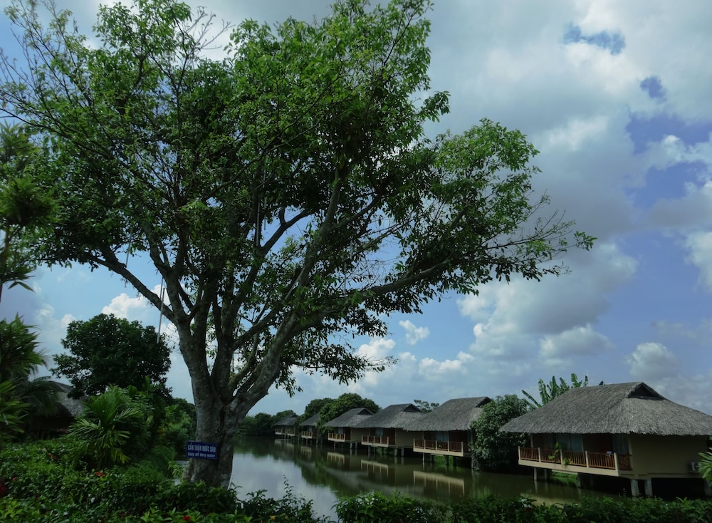 surroundings