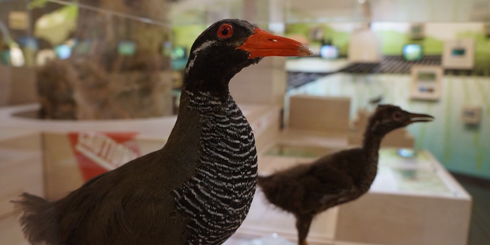 Ada Garden Hotel Okinawa 26/48