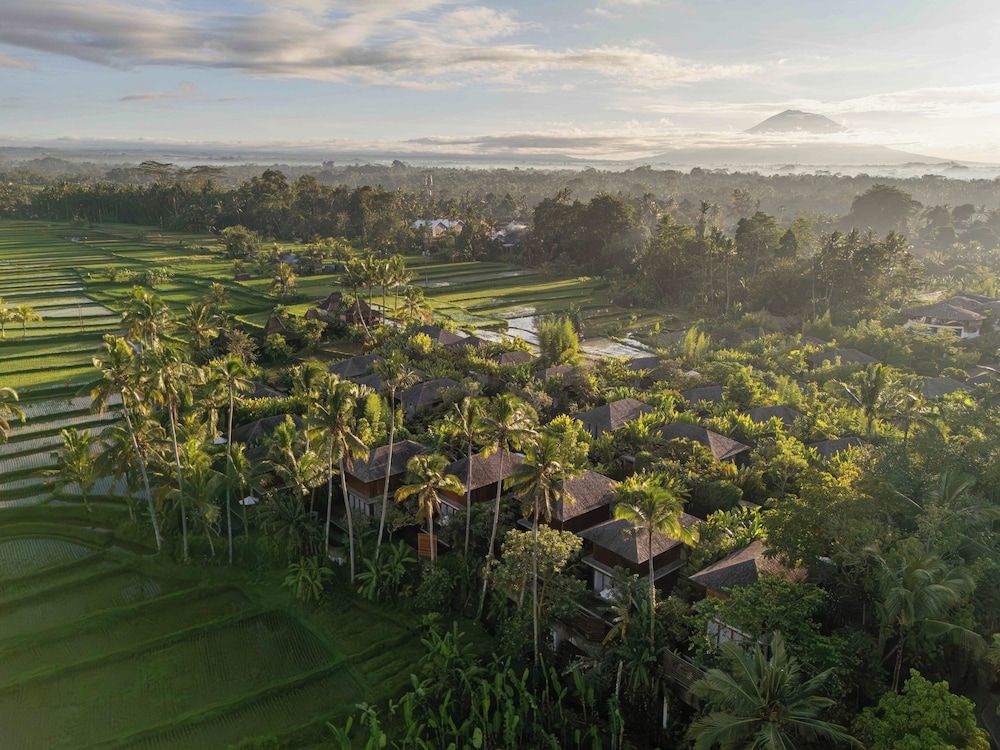 Kappa Senses Ubud 44/47