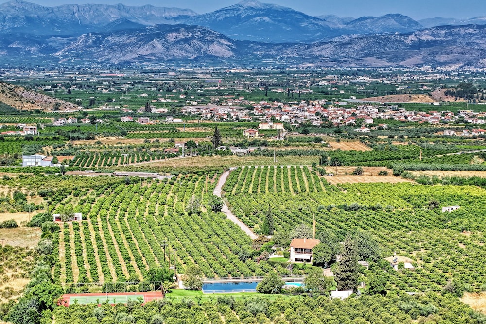 Orange Grove Villa 44/50