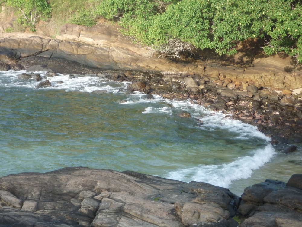 Blow Hole View Home Stay 5/7